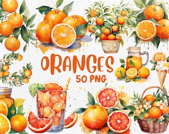Watercolor Oranges Clipart: 50 Fruit Illustrations (PNG, Commercial Use)