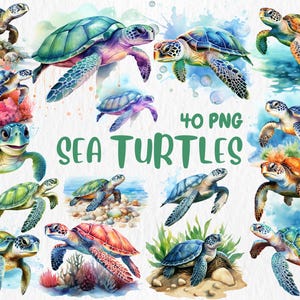 Clipart Tortues de mer à l'aquarelle | Mignons animaux de la mer et de l'océan, illustrations nautiques, graphismes de la vie marine pour travaux manuels et décoration sur le thème de l'océan