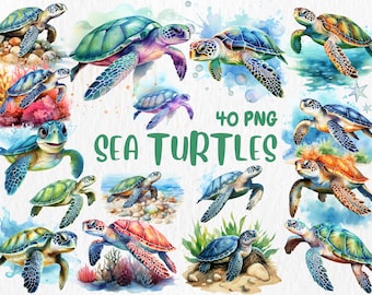 Watercolor Sea Turtles Clipart: Ocean Animal Graphics (Digital Download)