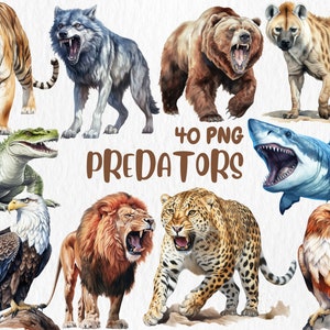 Clipart de predadores em aquarela | Leão, tigre, leopardo, chita, lobo, águia, tubarão, ilustração animal | Download instantâneo para uso comercial
