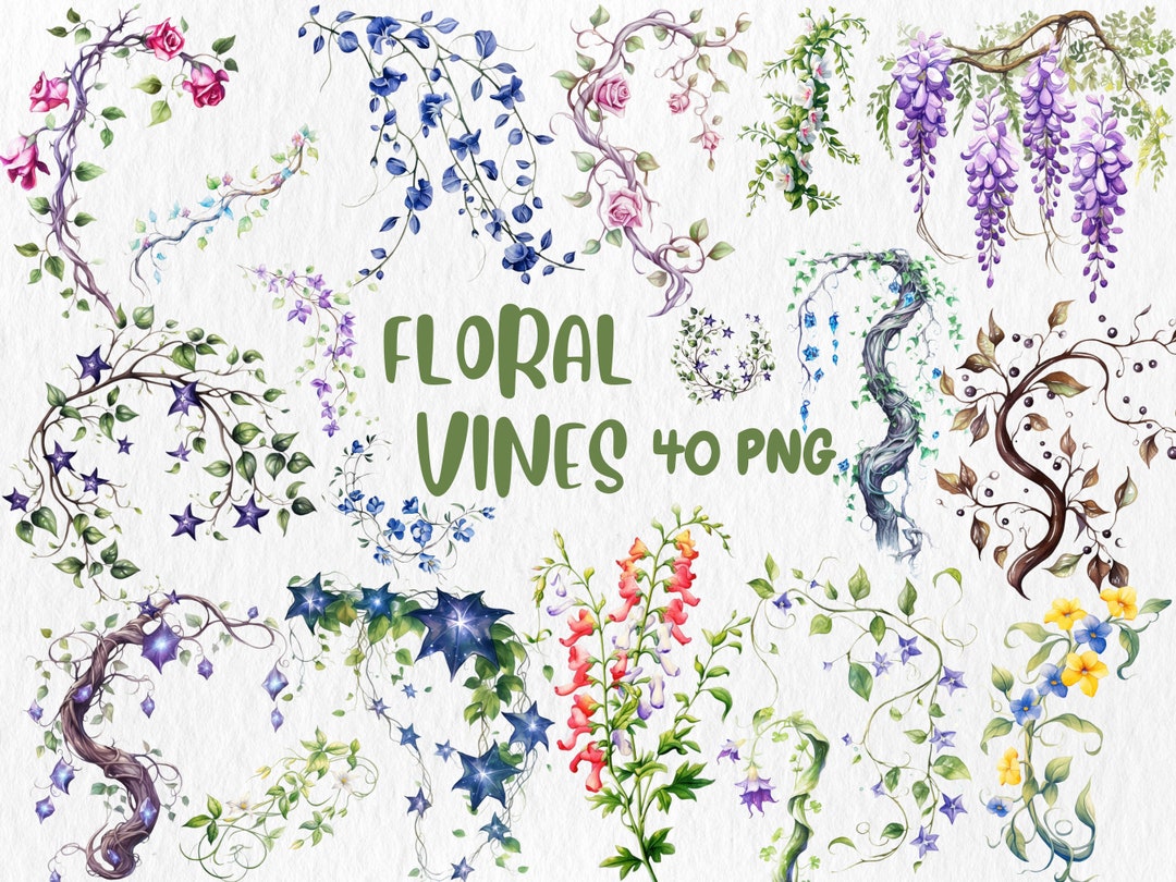 Watercolor Floral Vines Clip Art Floral Frame and Invitation Elements