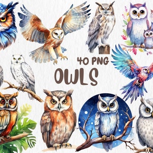 Clipart hiboux à l'aquarelle | Adorables hiboux mignons, bébé hibou, chevêche, chevêche, forêt, illustrations d'animaux de grange | Téléchargement instantané pour une utilisation commerciale