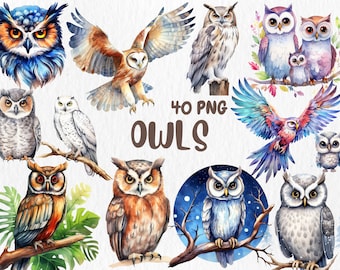 Watercolor Owls Clipart: 40 PNG Illustrations (Instant Download)