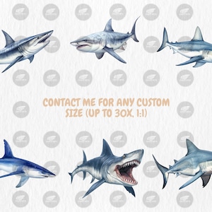 Watercolor Sharks Clipart | Great White Shark, Tiger Shark, Bull Shark, Sea Animal Illustrations | Instant Download for Commercial Use