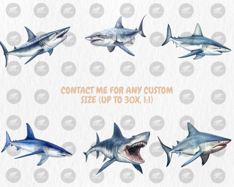 Watercolor Sharks Clipart | Great White Shark, Tiger Shark, Bull Shark, Sea Animal Illustrations | Instant Download for Commercial Use