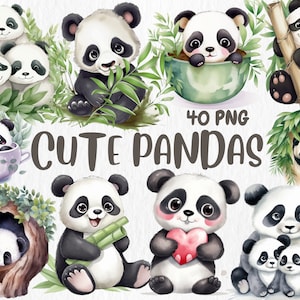 Imágenes prediseñadas de pandas lindos en acuarela / Imágenes prediseñadas e ilustraciones de pandas adorables y lindos / Panda bebé, imágenes PNG / Descarga instantánea para uso comercial