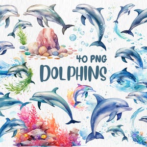 Watercolor Dolphins Clipart | Marine Animal Graphics for Ocean-Themed Projects, 40 Transparent PNG Files | Instant Download, Commercial Use