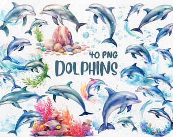 Watercolor Dolphins Clipart: 40 PNG Marine Animal Graphics (Digital Download)