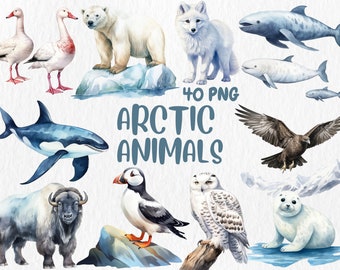 Clipart animaux de l'Arctique à l'aquarelle | Illustrations de renard, hibou, morse, loup, ours polaire, phoque, orque | Téléchargement instantané pour une utilisation commerciale