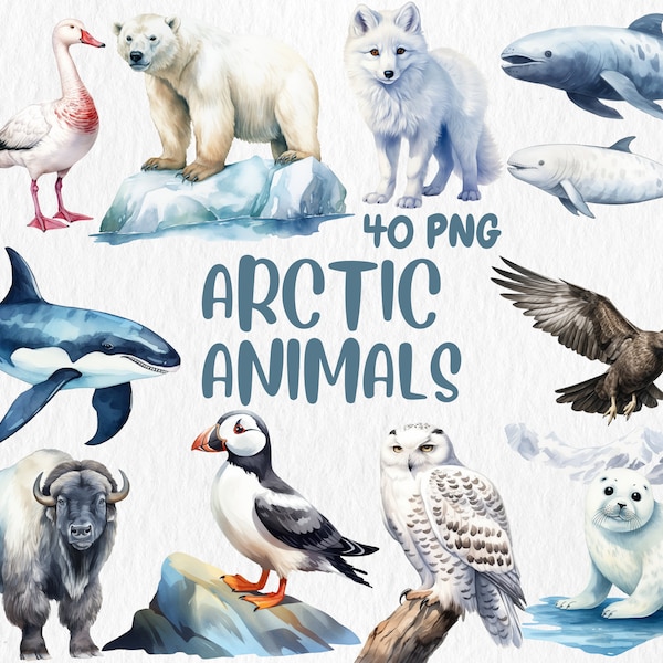 Watercolor Arctic Animals Clipart | Fox, Owl, Walrus, Wolf, Polar Bear, Seal, Orca Illustrations | Instant Download for Commercial Use