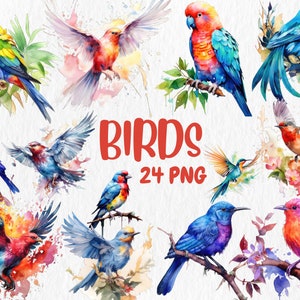Clipart di uccelli ad acquerello / Tanager, fringuello, pappagallo, rampichino, passero, illustrazioni di uccelli volanti / Download immediato per uso commerciale