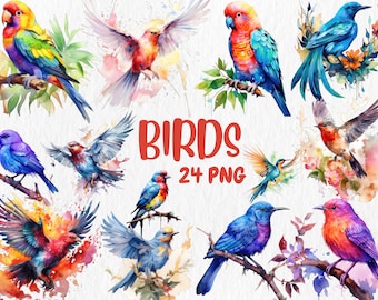 Watercolor Birds Clipart: Tropical Bird Illustrations (Instant Download)