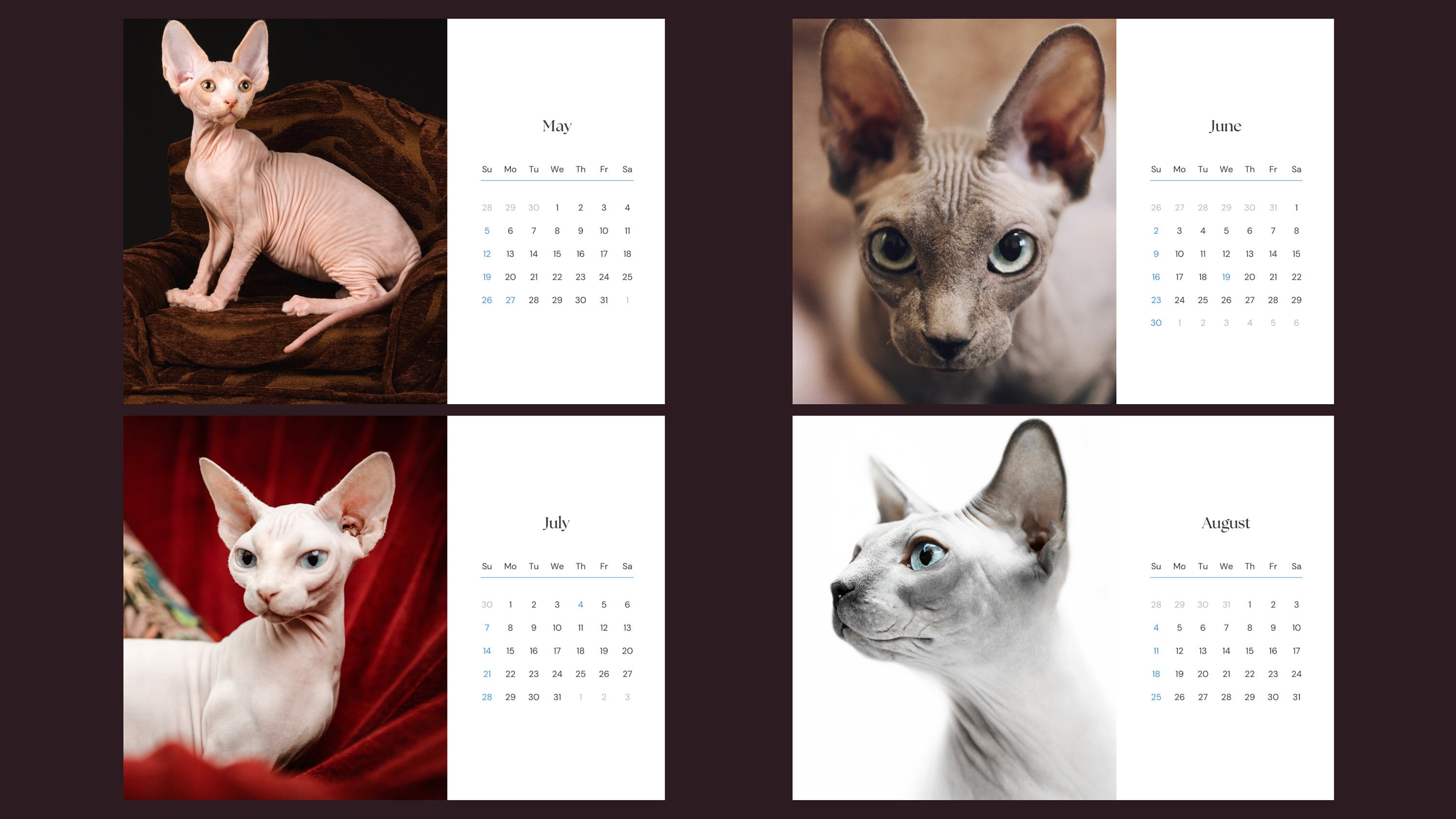 Sphynx Cat 2024 Calendar Etsy Sphynx Cat 2024 Calendar Etsy