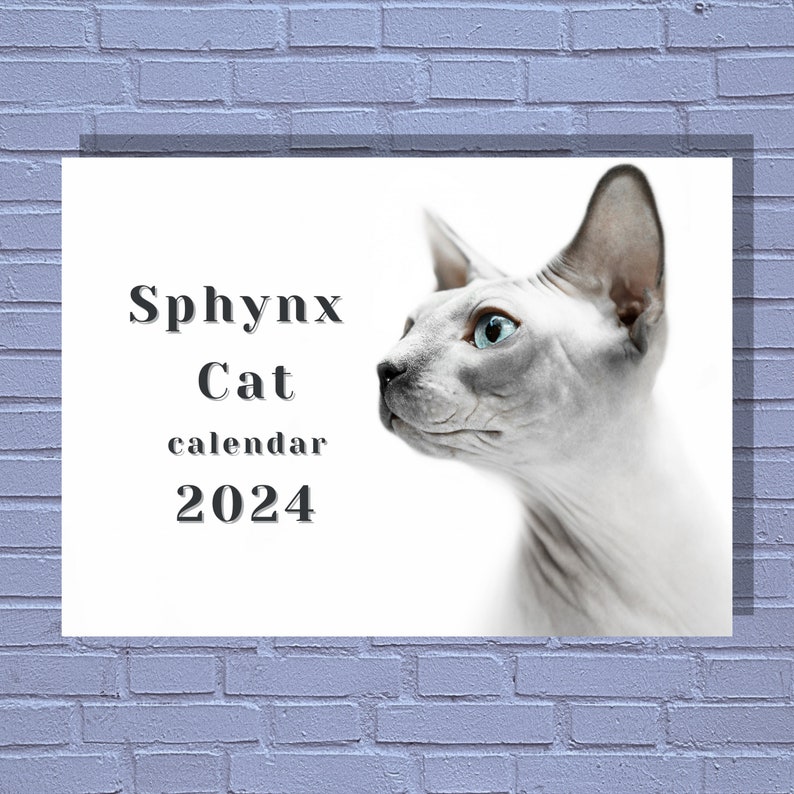 Sphynx Cat 2024 Calendar Etsy UK