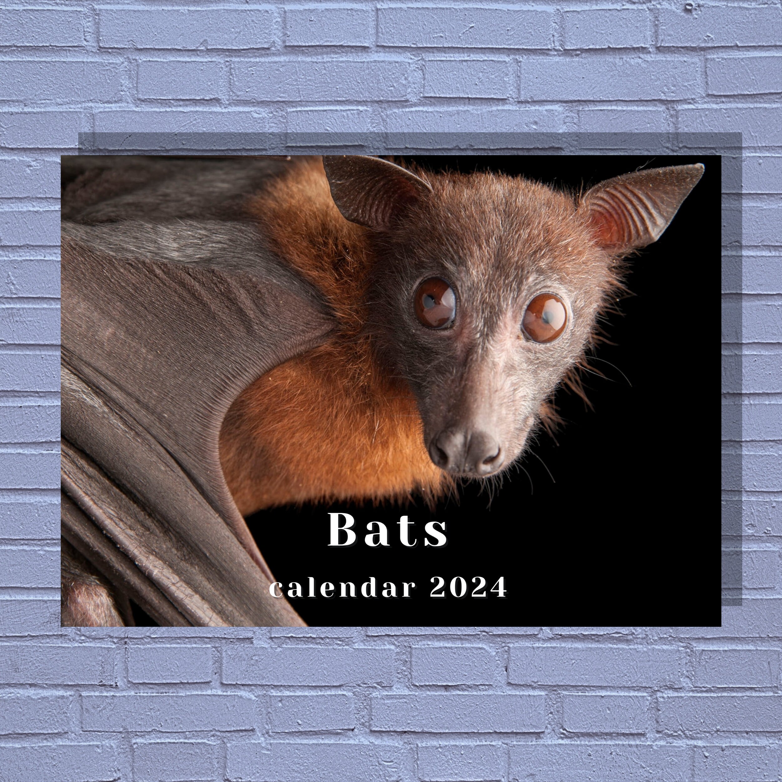 Bats 2024 Calendar Etsy