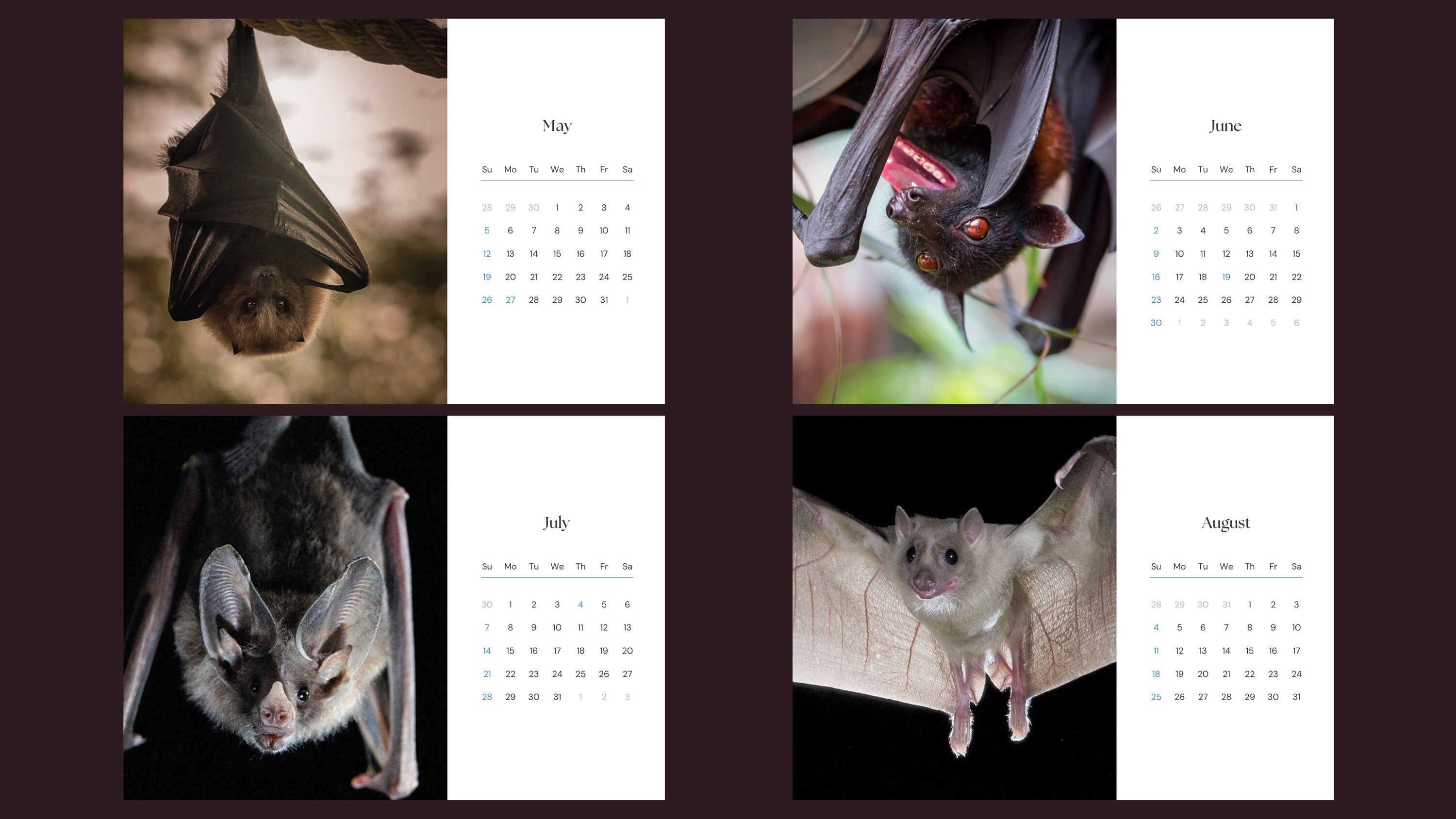 Bats 2024 Calendar Etsy