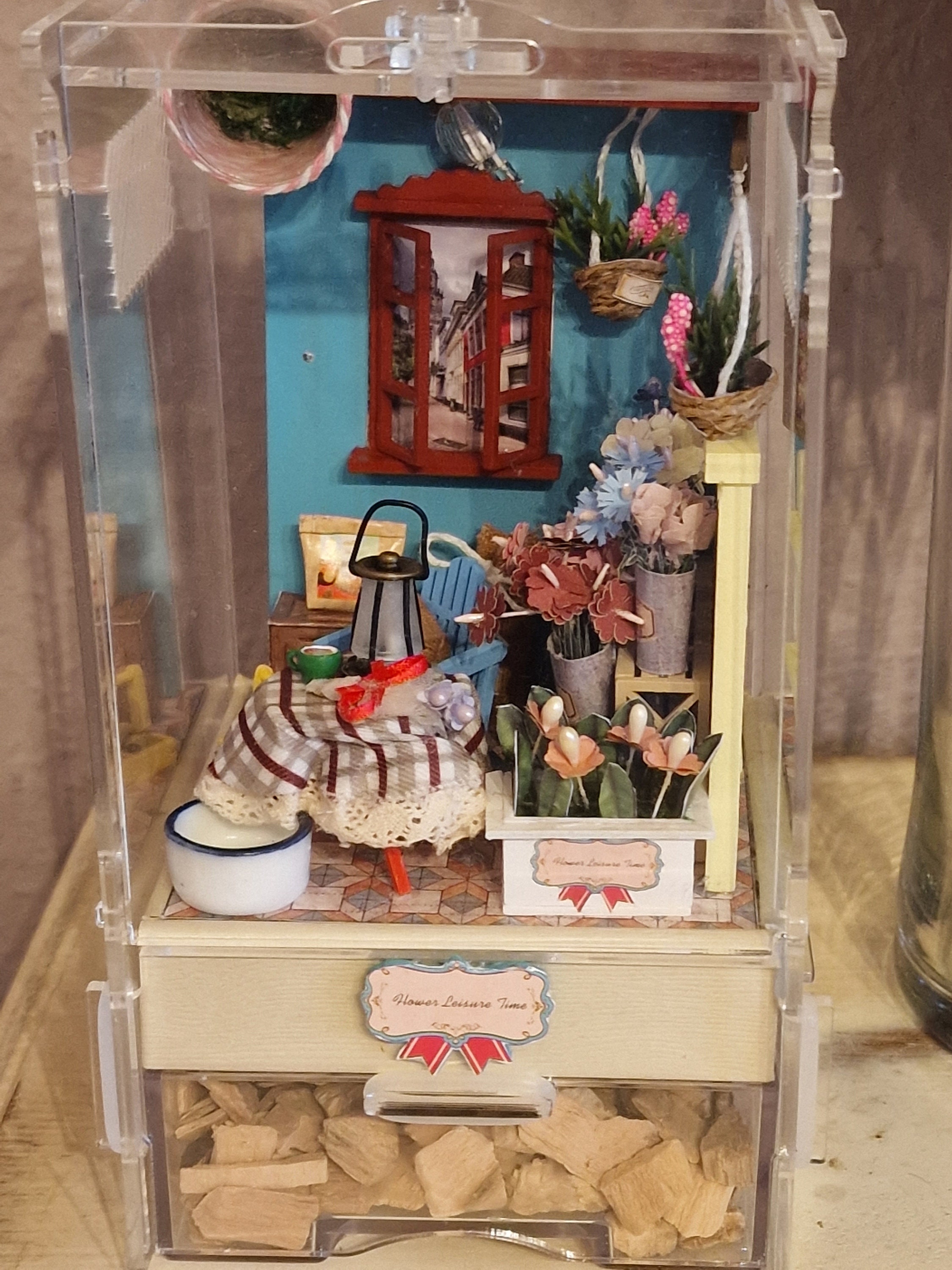 Terrarium for Jumping Spider Etsy