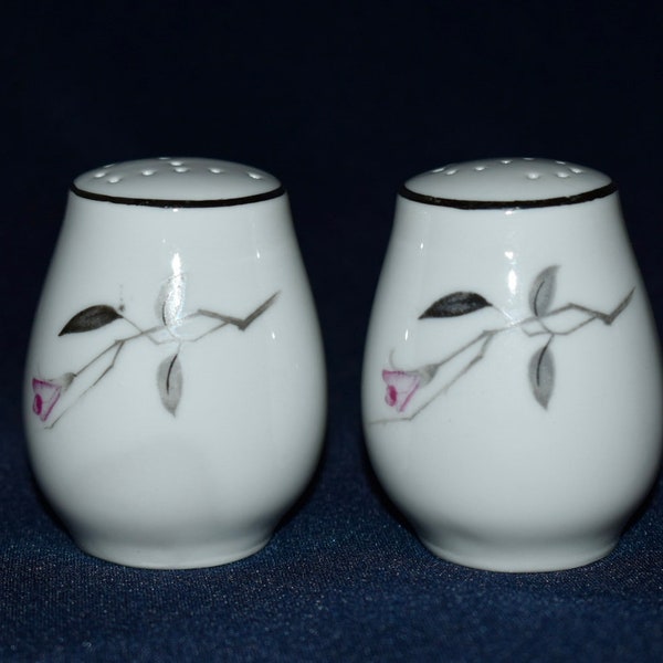 Fine China Japan Salt & Pepper Shakers, Cherry Blossom