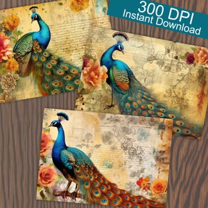 Junk Journal Scrapbooking Kit / Pavoni Vintage / Stampabile / Ephemera / Carta ruvida / Digitale / Abbellimenti / Scrapbook / Bella