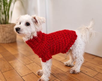 May include: A small white dog with fluffy fur wearing a bright red crocheted sweater. The sweater features a ribbed turtleneck collar and a textured, open-stitch pattern that covers the torso, providing a snug fit for the canine's body.