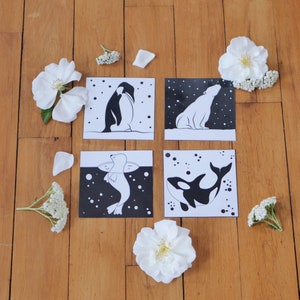 Cartes contrastées pour bébé, Montessori, Animaux et végétaux