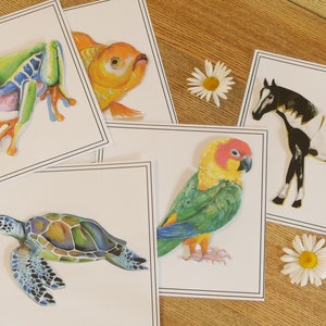 Zoology cabinet 1 to print, 5 puzzles, Montessori inspiration