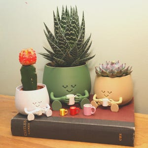 Puede incluir: Tres macetas caprichosas con caras sonrientes, cada una sosteniendo una pequeña taza. Una maceta contiene un cactus con la parte superior roja, otra una suculenta y la tercera una planta de aloe vera espinosa. También se muestran tazas pequeñas amarillas, rojas y rosas.
