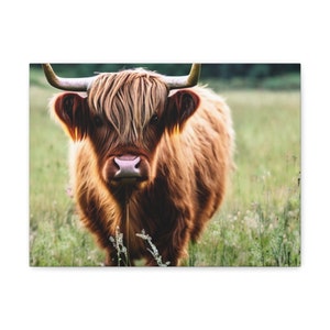 Highland Cow Gallery Wraps | Wall Décor | Living Space Décor | Farmhouse Designs