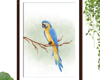 "Parrot" Wall Poster - Ready to Frame - A4 Print - Wall Decor - Decoration - Wall Poster
