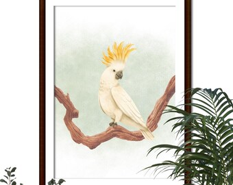 "Parrot" Wall Poster - Ready to Frame - A4 Print - Wall Decor - Decoration - Wall Poster