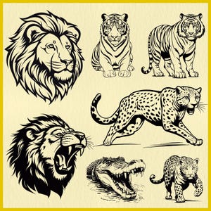 May include: Black and white line art illustrations of a lion, tiger, leopard, cheetah, crocodile, and jaguar. The animals are drawn in a realistic style with detailed features.