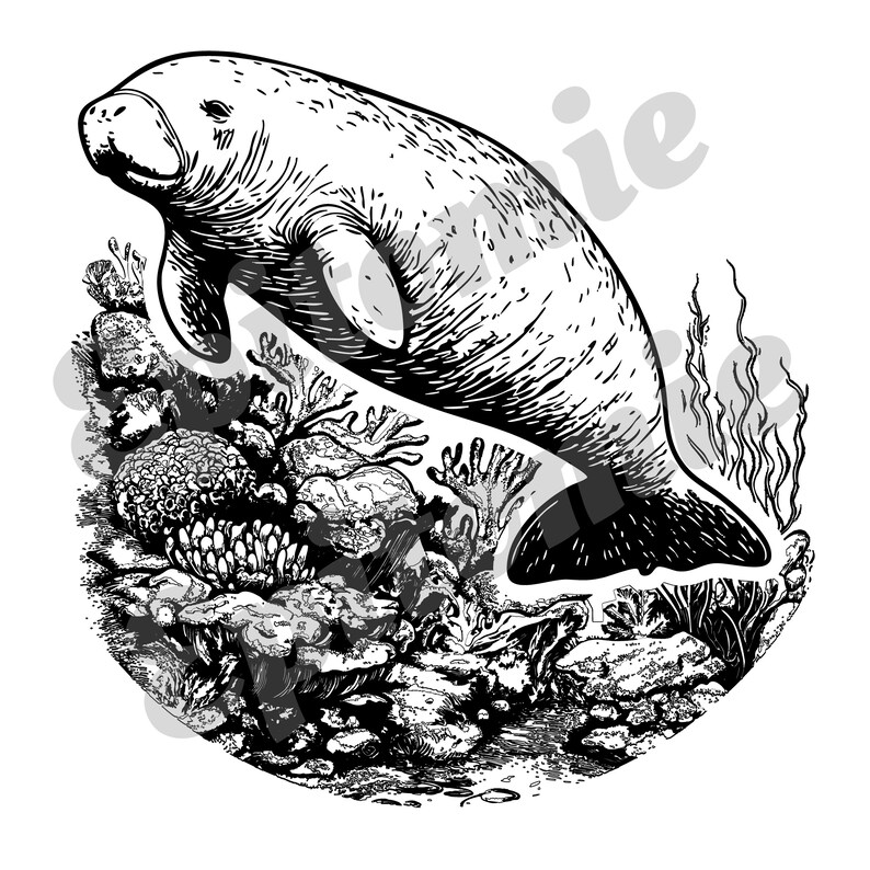 Manatee Vector File Manatee SVG: Marine Life Conservation Vector File | Sea Cow and Coral ...