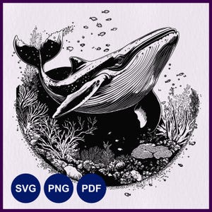 Humpback Whale SVG, Whale Cricut SVG, Whale Laser Cut, Marine Wild Life, Ocean Animals, Whale Silhouette, Whale Clipart SVG, Stencil Vector