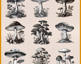 Vintage Mushroom Clipart: Botanical Fungi PNG Collection (Digital Art Print)