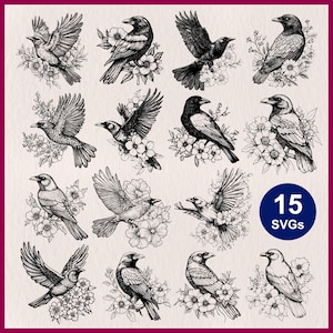 Puede incluir: Una colección de 15 ilustraciones de aves en blanco y negro, cada una emparejada con arreglos florales. Las aves se representan en varias poses, algunas en vuelo, otras posadas. Un círculo azul con el texto "15 SVGs" está en la esquina inferior derecha.