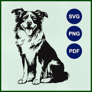 Hoge kwaliteit border collie SVG, herdershond Cricut-bestanden, boerderijhond stencil, herdershond lasercut, border collie png, herdershond clipart, hoektand