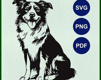 Può includere: Illustrazione in bianco e nero di un border collie seduto con la lingua di fuori.