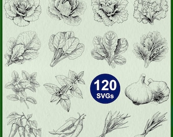 Herbs & Vegetable SVG: Kitchen Herbs Clipart, Veggies Vector File, Cabbage, Lettuce, Garlic, Pepper