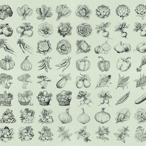 Gemüse SVG Bundle: Bio Bauernhof Produkte, Gemüse Vektor Datei, Veggies Clipart