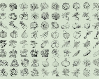 Vegetable SVG Bundle: Organic Farm Produce, Vegetables Vector File, Veggies Clipart