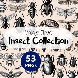 May include: A selection of vintage insect illustrations in monochrome. The image showcases diverse insects, such as beetles, butterflies, and moths. Text on the image reads "Vintage Clipart Insect Collection" and "53 PNGs".