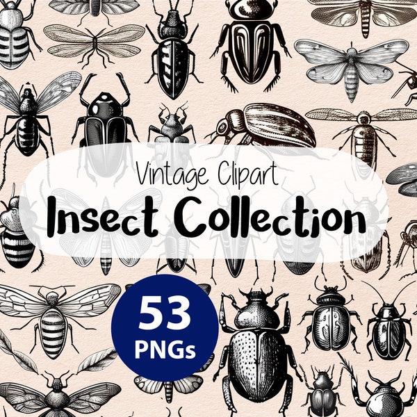 Vintage Insect Collection Clipart, Insect PNG, Vintage PNG, Bug PNG, Antique Illustrations, Black and White Illustration, Fine Line Drawing