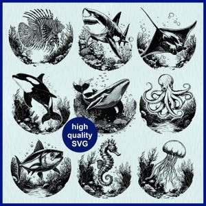 Könnte beinhalten: Neun Schwarzweißillustrationen verschiedener Meerestiere, darunter ein Hai, ein Wal, ein Tintenfisch, eine Qualle, ein Seepferdchen und ein Mantarochen. Jedes Tier ist in einem runden Rahmen mit Seegras und anderen Unterwasser-Elementen dargestellt.