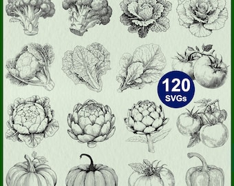 Gardening Vegetables SVG: Veggie Clipart, Tomato, Bell Pepper, Artichoke, Pumpkin, Carrot, Cabbage Vector Files