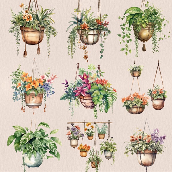 Hanging Plants Clipart, Hanging Garden PNG, Greenery Clipart, Garden Decorations, Plant-Themed Decor, Household Green, Watercolor Clipart