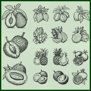 Tropical Fruits SVG, Rare Fruits Cricut, Jackfruit Stencil, Durian Lasercut, Dragon Fruit Vector, Star Fruit Clipart, Coconut, Pomegranate