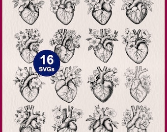 May include: A collection of 16 black and white SVG files featuring anatomical hearts adorned with floral arrangements. The designs are detailed and artistic, suitable for various creative projects. The image has a light background with a dark purple border.