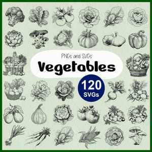 Vegetales frescos SVG: Clipart de vegetales, archivo vectorial de vegetales, hierbas frescas y jardinería