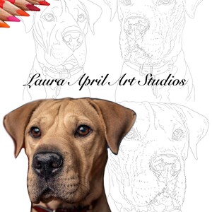 Dog Portrait Fine Art x 5 Pack Printable Download Colouring Pages
