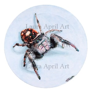 Jumping Spider Acrylic Painting Original on Circular Canvas